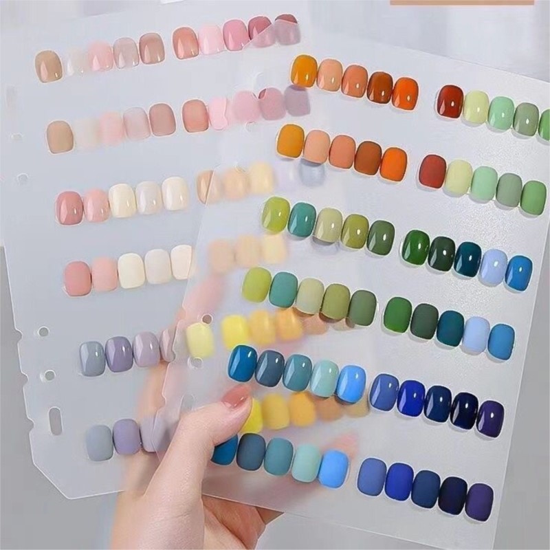 Aufbewahrungsbuch für Nagelkun – Photography Basic Bewertung und Preis