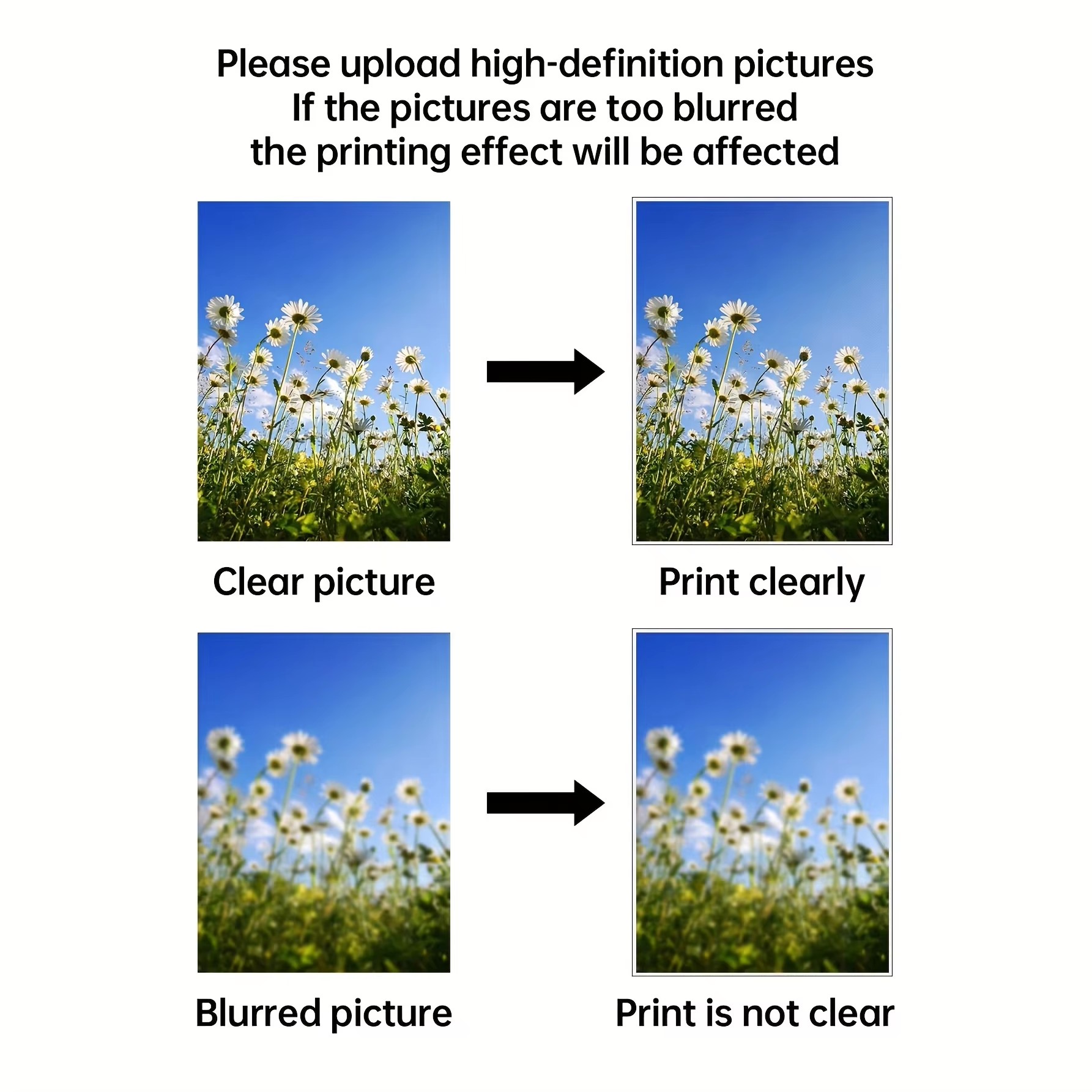 Individuell Bedruckte Leinwand – Photography Poster Bewertung und Preis